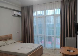 Сдам дом, 20 м2, Сочи, Эвкалиптовая улица, 29