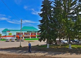 Сдам в аренду помещение свободного назначения, 50 м2, село Авдон, улица 60 лет СССР, 6