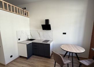 Продается квартира студия, 30 м2, Санкт-Петербург, Колпинская улица, 10, муниципальный округ Петровский