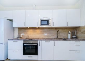 Аренда 2-ком. квартиры, 50 м2, Сочи, Ясногорская улица, 16/2к2, микрорайон Бытха