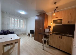 Продается квартира студия, 23 м2, село Зубово, улица Бориса Перина, 3