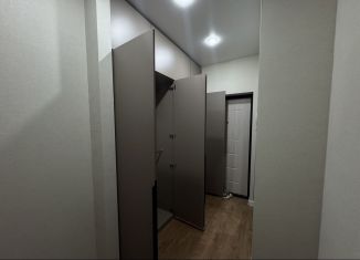 Сдается однокомнатная квартира, 38 м2, Республика Башкортостан, улица Чернышевского, 24