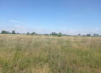 Продается земельный участок, 13 сот., Абакан, Васильковая улица, 14