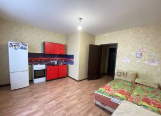 Квартира на продажу студия, 28.3 м2, Чебаркуль, улица Заря, 29Б