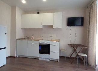 Продажа квартиры студии, 24.2 м2, село Новое Шигалеево, улица Габдуллы Тукая, 7