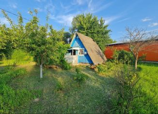 Продается дача, 25 м2, деревня Добрунь