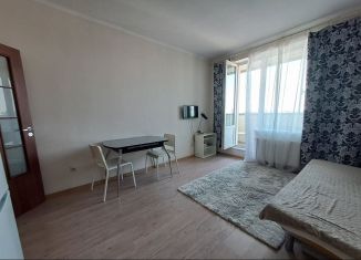 Квартира на продажу студия, 24.8 м2, Кудрово, Пражская улица, 9, ЖК Вернисаж