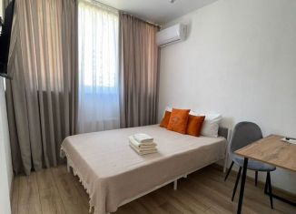 Сдается квартира студия, 17 м2, Краснодар, Российская улица, 267к5, Музыкальный микрорайон