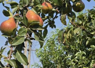 Продаю дачу, 58.9 м2, Краснодарский край