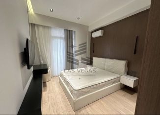 Сдаю в аренду 1-ком. квартиру, 45 м2, Татарстан, проспект Победы, 46А