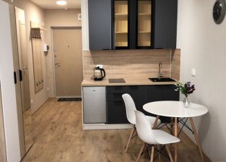 Продажа квартиры студии, 22.1 м2, посёлок Парголово, Толубеевский проезд, 8к2