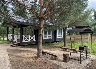 Сдам в аренду дом, 45 м2, деревня Дмитриевка, Лунная улица, 24