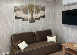 Сдается таунхаус, 35 м2, Ростовская область, улица Ленина, 112