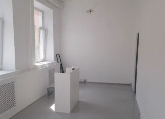 Сдаю в аренду помещение свободного назначения, 22.1 м2, Санкт-Петербург, Казанская улица, 7