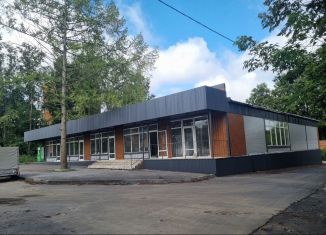 Помещение свободного назначения в аренду, 60 м2, рабочий посёлок Бородинский, улица Пушкина, 27