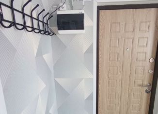 Сдача в аренду дома, 30 м2, село Новосельское, СНТ Мечта-1, 392