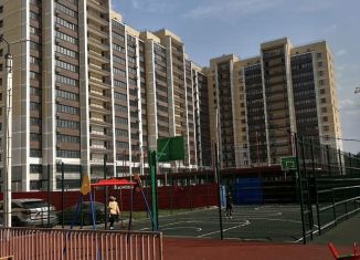 Продажа однокомнатной квартиры, 44.9 м2, Благовещенск, Набережная улица, 50/2