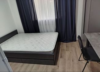 Сдается квартира студия, 20 м2, Санкт-Петербург, Рижский проспект, 74