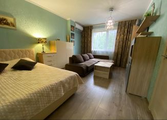 Сдается в аренду 1-комнатная квартира, 36.4 м2, Сочи, Донская улица, микрорайон Донская