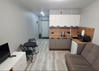 Сдаю в аренду квартиру студию, 23 м2, Республика Башкортостан, улица Софьи Перовской