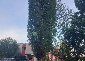 Продажа 2-ком. квартиры, 51.2 м2, Татарстан, Московский проспект, 142