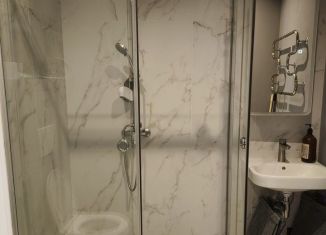 Сдается квартира студия, 17 м2, Санкт-Петербург, 4-я линия Васильевского острова, 51