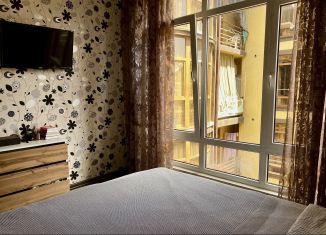 Квартира в аренду студия, 24 м2, Сочи, улица Просвещения, 157/2, микрорайон Чкаловский