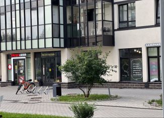 Продаю помещение свободного назначения, 66.2 м2, Санкт-Петербург, проспект Авиаконструкторов, 61, муниципальный округ Юнтолово