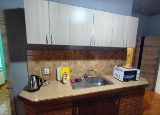 Сдам коттедж, 150 м2, Оренбургская область, Раздольная улица, 3