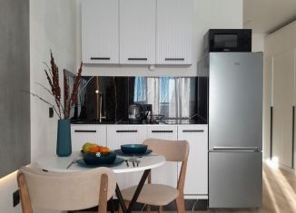 Квартира в аренду студия, 27 м2, Татарстан, Олонецкая улица, 6А