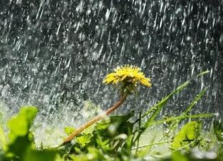 Продам трехкомнатную квартиру, 65 м2, Махачкала, улица Леваневского, 13