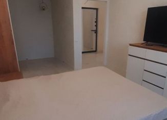 Сдаю 1-комнатную квартиру, 35.5 м2, Кингисепп, Крикковское шоссе, 34