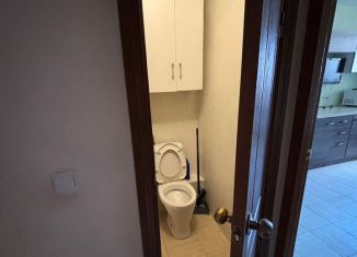 Сдается в аренду 2-комнатная квартира, 48 м2, городской посёлок Янино-1, Голландская улица, 8