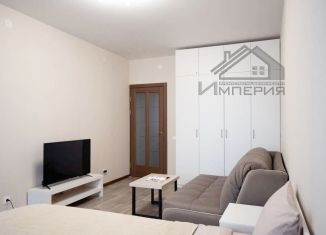 Продажа 1-ком. квартиры, 42.7 м2, Казань, ЖК Новые Горки, проезд Созидателей, 9