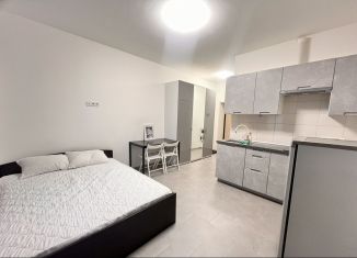 Сдаю в аренду квартиру студию, 27 м2, Республика Башкортостан, Усольская улица, 6А