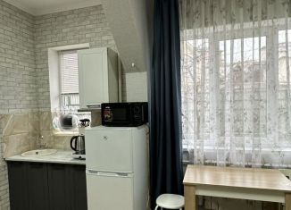 Сдается квартира студия, 25 м2, Сочи, переулок Рахманинова, 41, микрорайон Новый Сочи