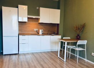 Аренда однокомнатной квартиры, 34.8 м2, Санкт-Петербург, Архивная улица, 11к1