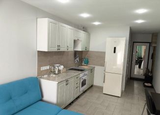 Сдаю квартиру студию, 25 м2, Саратов, Огородная улица, 155, ЖК Волга