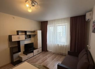 Сдаю квартиру студию, 30 м2, Краснодар, улица Героя Владислава Посадского, 53, микрорайон Восточно-Кругликовский