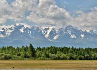 Продажа участка, 247 сот., Курайское сельское поселение