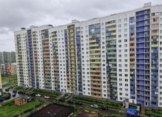 Продаю квартиру студию, 24 м2, Мурино, Воронцовский бульвар, 16к1, ЖК Краски Лета