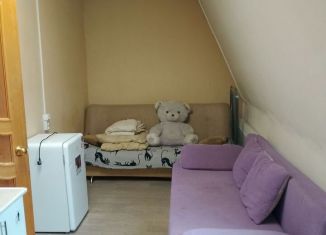 Сдается квартира студия, 18 м2, Благовещенск, Батарейная улица, 46