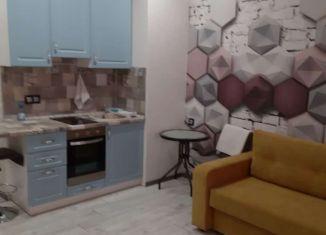 Сдается в аренду квартира студия, 25 м2, Татарстан, Тэцевская улица, 4А