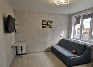 Сдаю в аренду однокомнатную квартиру, 28 м2, Республика Башкортостан, улица Архитектора Калимуллина