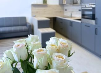 Продажа квартиры студии, 22 м2, Санкт-Петербург, Ижорская улица, 5, муниципальный округ Петровский