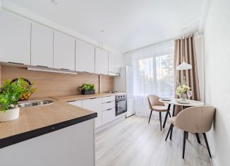 Однокомнатная квартира на продажу, 30.9 м2, Санкт-Петербург, улица Вавиловых, 8к3, Выборгский район