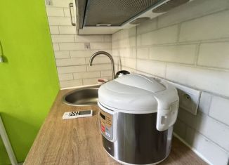 Сдается в аренду квартира студия, 20 м2, Санкт-Петербург, Каменноостровский проспект, 57