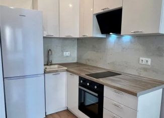 Аренда 2-комнатной квартиры, 32 м2, Котельники, микрорайон Парковый, 14