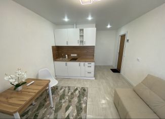 Продаю квартиру студию, 25 м2, Чебоксары, улица Тимофея Кривова, 19к1