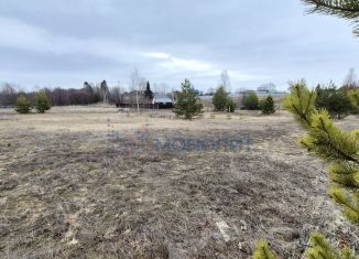 Продам земельный участок, 20 сот., деревня Кокшамары, Набережная улица